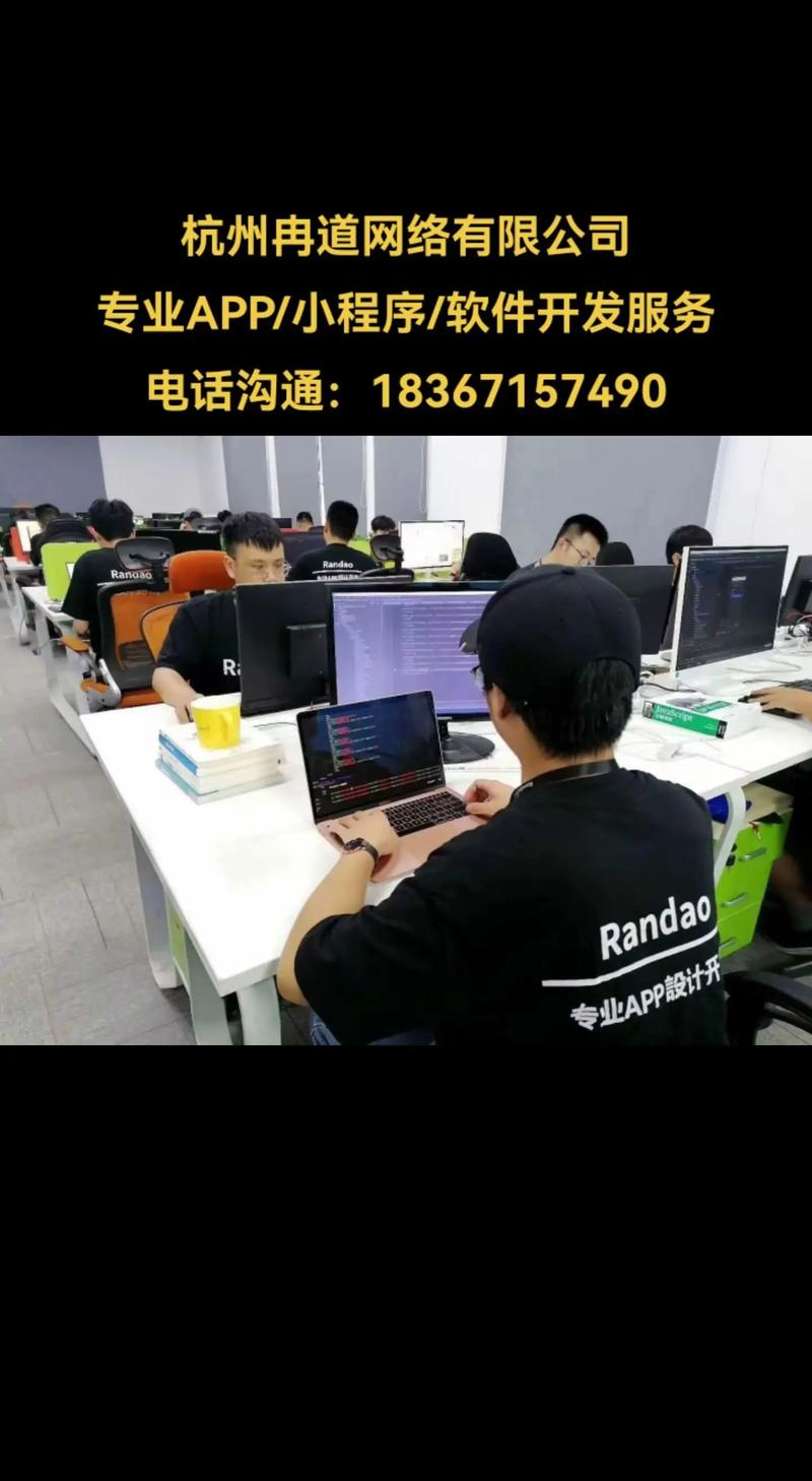 软件行业在北京的创新引领者